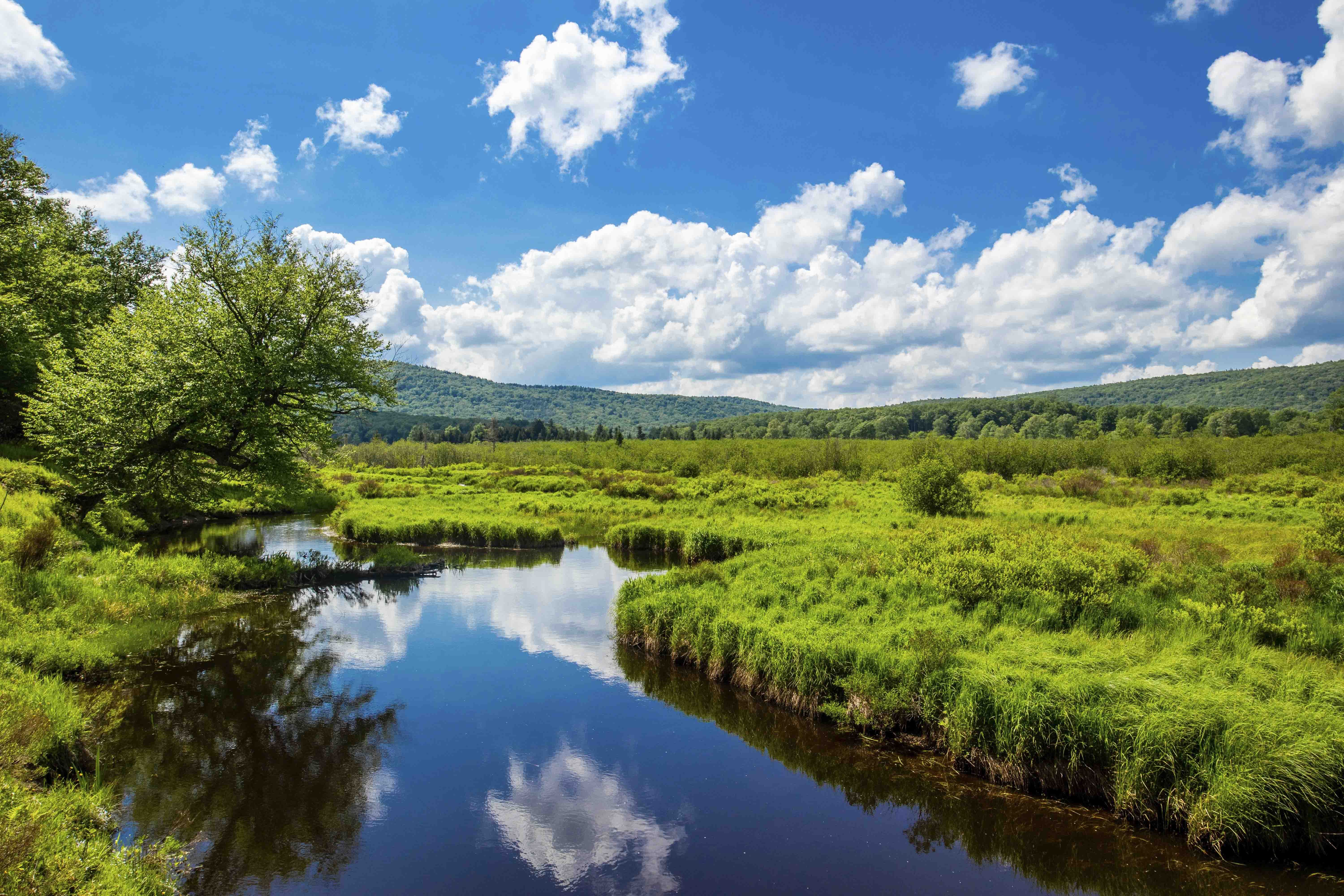 Canaan Valley Resort